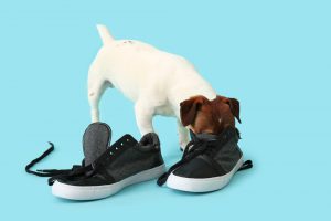 щоб взуття краще пахло