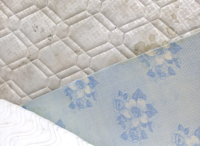 запах сечі з матраца